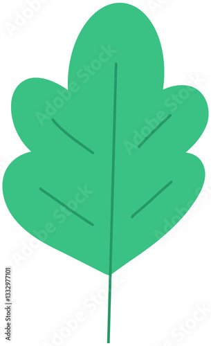 green leaf isolated on white