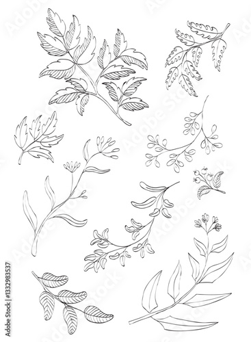 Wallpaper Mural Set of hand drawn leaves and flowers. Black and white sketch.  Torontodigital.ca