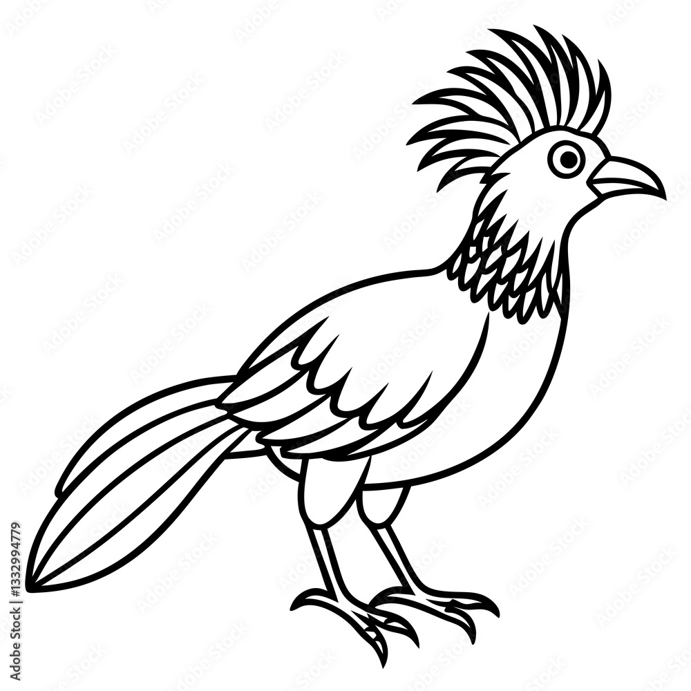 roadrunner bird illustration in black and white outline, isolated on a plain roadrunner bird illustration in black and white outline, isolated on a plain