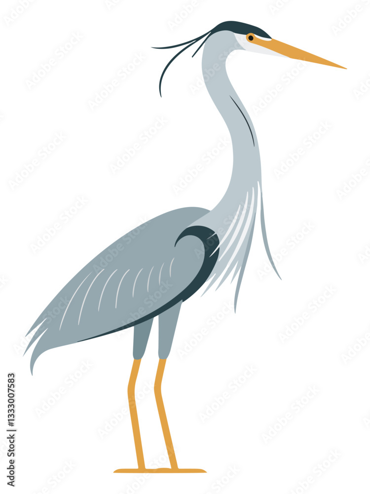 Fototapeta premium Set of Heron Birds in Different Poses Flying and Standing