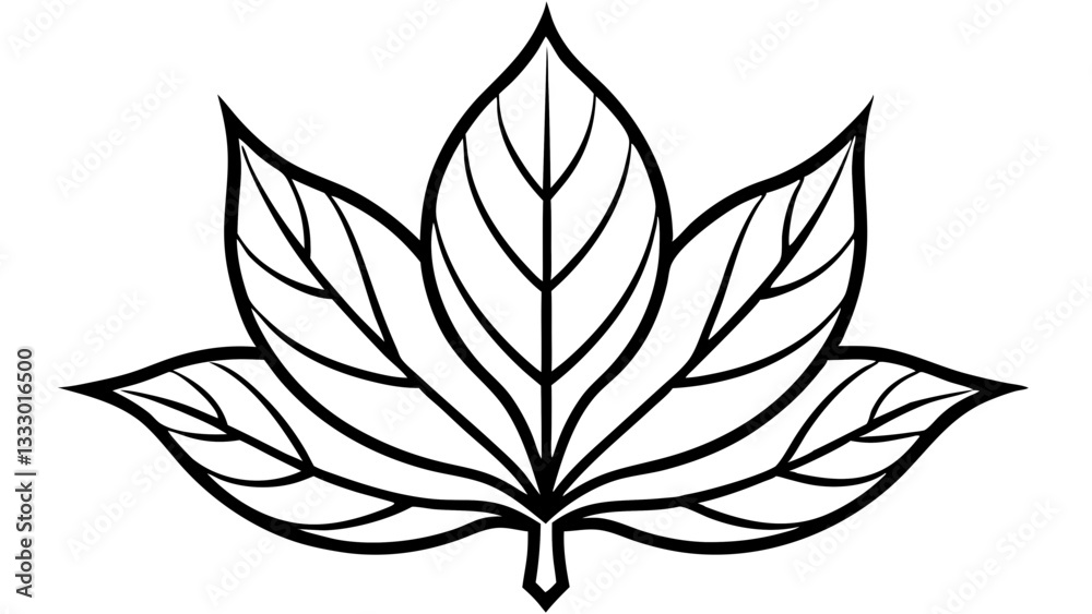 Fototapeta premium A Leaf with Smooth Curves