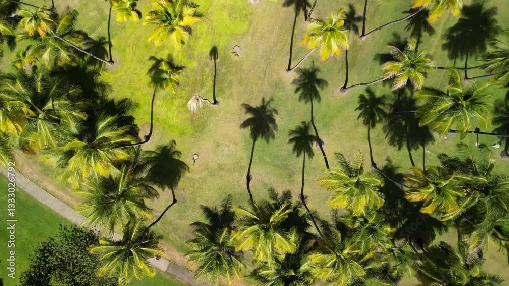 sainte-anne martinique, plage pointe marine, le marine, antilles