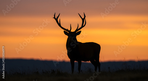 Majestic Deer Silhouette against a Vibrant Orange Sunset Sky