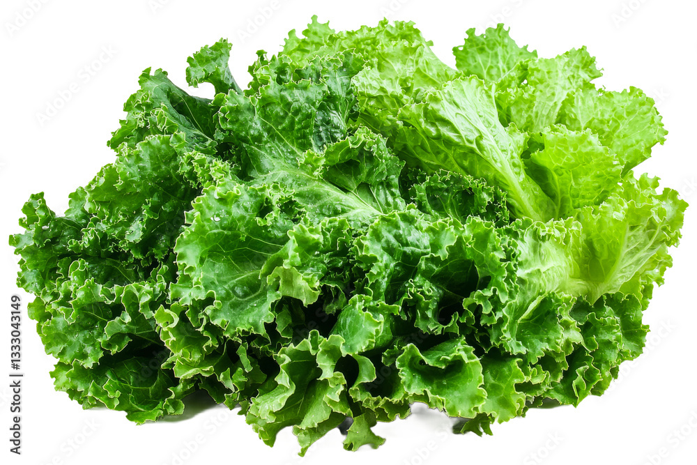 Fresh green leaf lettuce, healthy food, isolated, cut out transparent Fresh green leaf lettuce, healthy food, isolated, cut out transparent