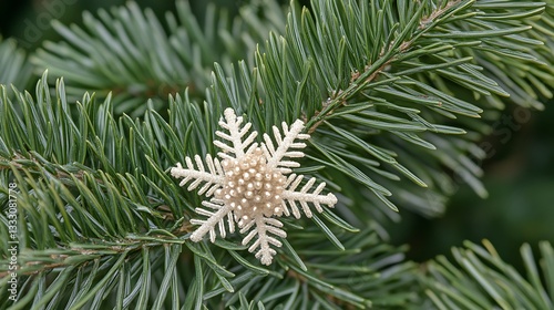 Cream Snowflake on Pine Branch.