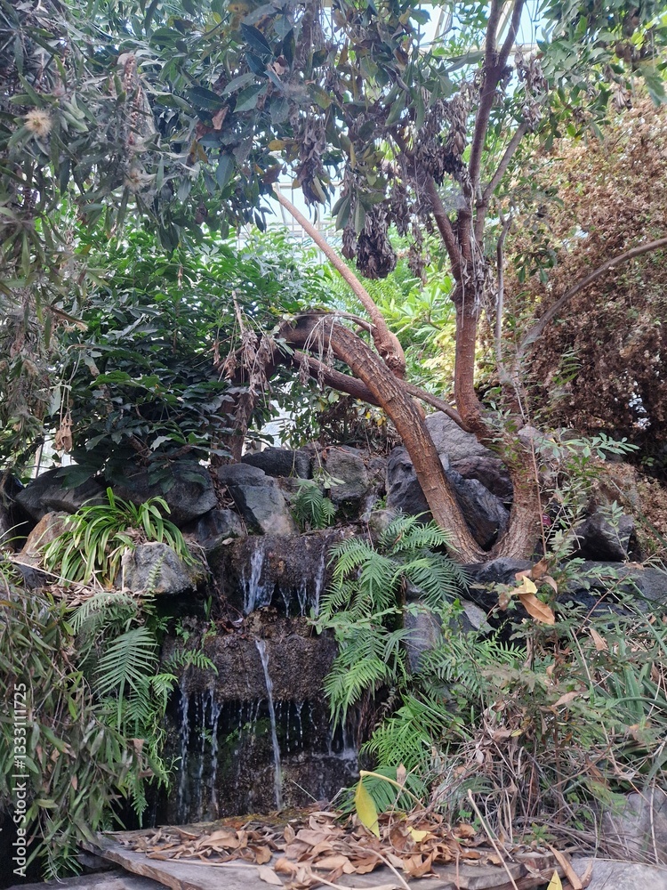 tropical forest with green trees tropical forest with green trees