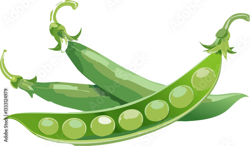fresh green peas