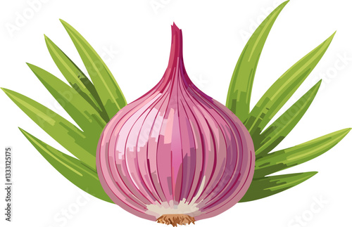 red onion isolated on white