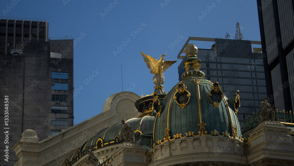 Obraz premium Águia Dourada - Theatro Municipal, Rio de Janeiro 