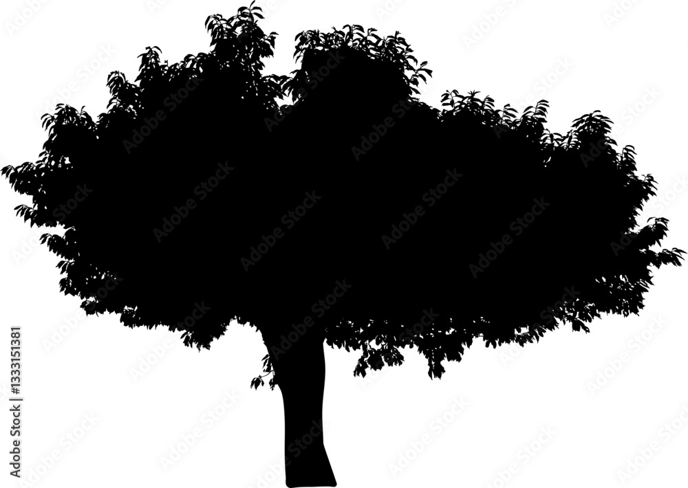 árbol, atardecer, paisaje, silueta, naturaleza, cielo, amanecer, sol, ilustración, vector, árbol, bosque