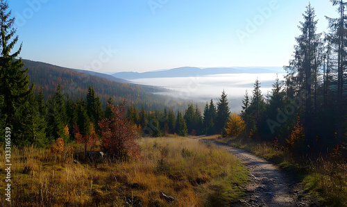 a fairy-tale coniferous forest , Generative AI