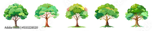 Tree illustrations, each with a rounded, bushy canopy of green leaves. The trees share a similar form but exhibit subtle variations in color and texture, suggesting natural diversity.