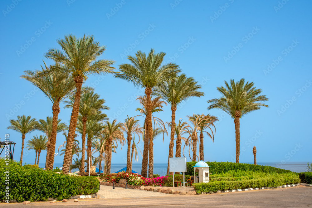 Fototapeta premium views of sunny sharm el sheikh for background