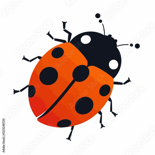 Ladybug insect vector illustration on a white background