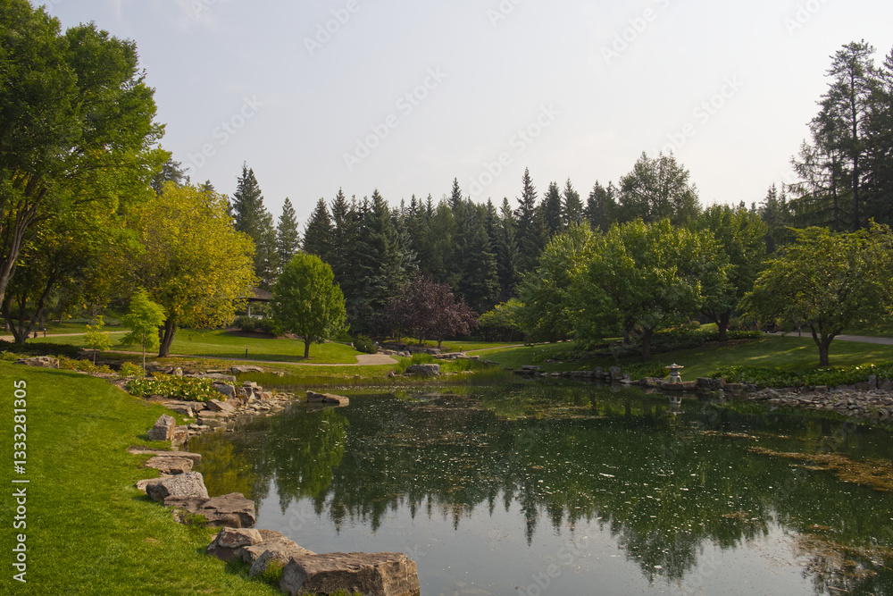 A Pond in a garden in Summer A Pond in a garden in Summer