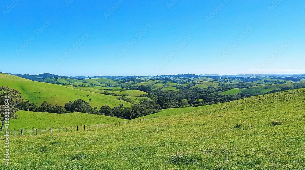 Obraz premium Lush Green Hills Under Clear Blue Sky in Summertime Nature Scene