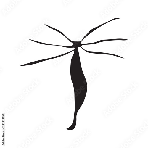 Hydra vulgaris