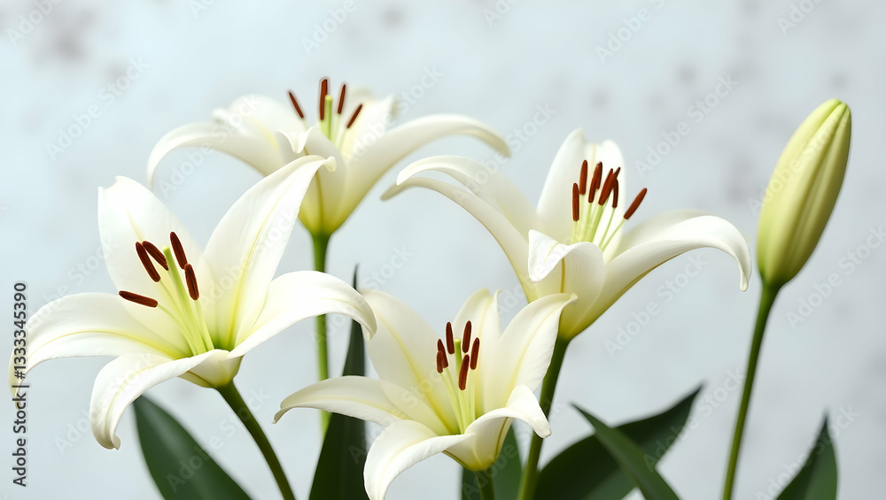 Elegant White Lilies in a Delicate Still Life Composition Detailed Shot