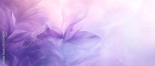 Banner with soft focused Lavender flowers at sunset Blooming Violet fragrant lavender flower summer landscape Growing Lavender, harvest, perfume ingredient, aromatherapy Lavender field, copy space