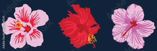 Hibiscus set, isolated white background,colorful illustration, aloha beach symbol tropical flower exotic hibiscus bloom red flower and hibiscus icon silhouette floral design vector element.