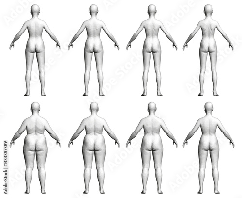 A series of different women's figures, each one with a different body type. The figures are all standing in a row. From slim to overweight. 3D. Back view