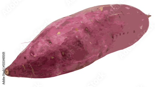 sweet potatoes isolated 