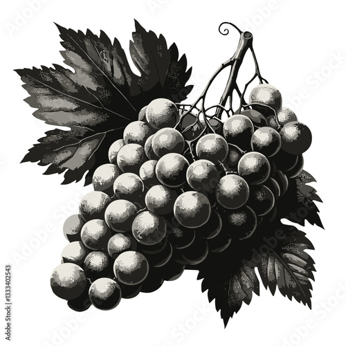 Detailed illustration of a bunch of grapes with leaves on a plain background