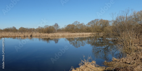Spring walk through the forest, beautiful panorama.