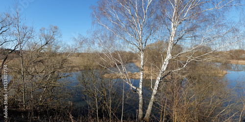 Spring walk through the forest, beautiful panorama.