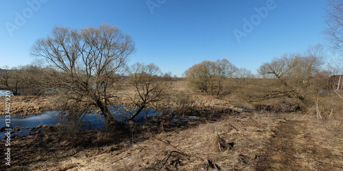 Spring walk through the forest, beautiful panorama.