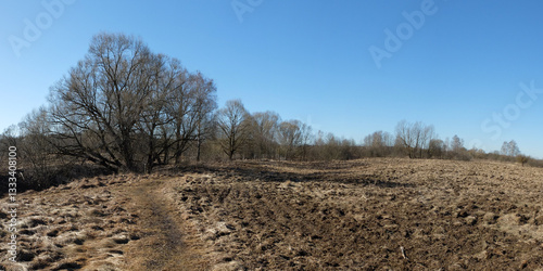 Spring walk through the forest, beautiful panorama.