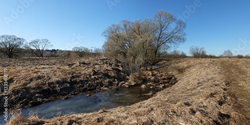 Spring walk through the forest, beautiful panorama.