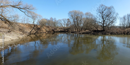Spring walk through the forest, beautiful panorama.