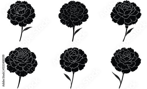 Minimalist carnation flower set in black and white, showcasing six elegant floral designs for creative use in art, decor, or digital projects