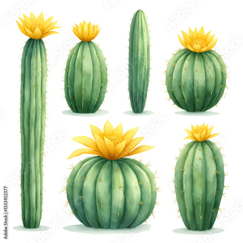 Blooming Cacti Collection   Green Succulents with Yellow Flowers