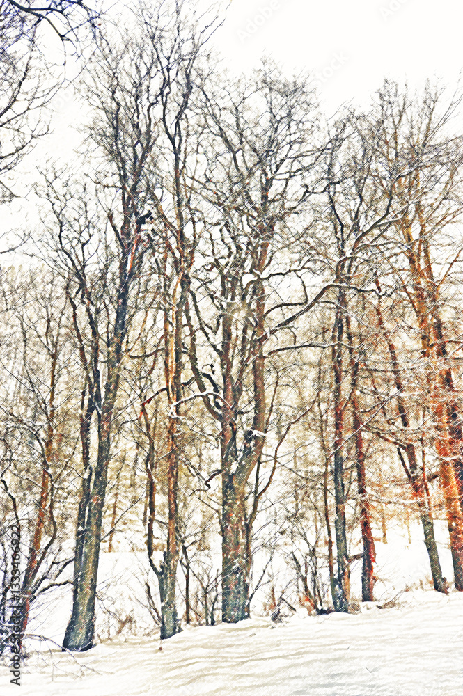 Fototapeta premium Paesaggio con bosco invernale.