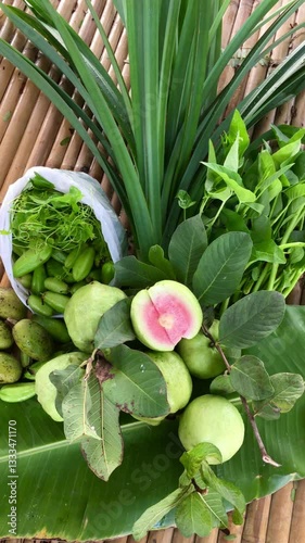 Guava garden. Industrial topical fruits. Insect protection by wrapping paper, plastic bag.