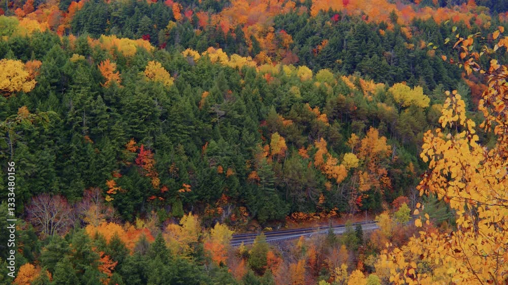 Aerial shot showing a picturesque forest ablaze with autumn colors and a road weaving through the trees. Captured in Roaring Brook Falls in the heart of the Adirondacks. Aerial shot showing a picturesque forest ablaze with autumn colors and a road weaving through the trees. Captured in Roaring Brook Falls in the heart of the Adirondacks.