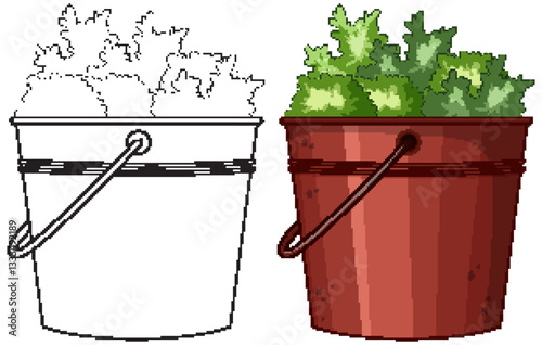 Bucket of Fresh Green Lettuce