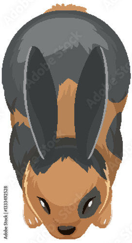 Top-Down View of a Rabbit