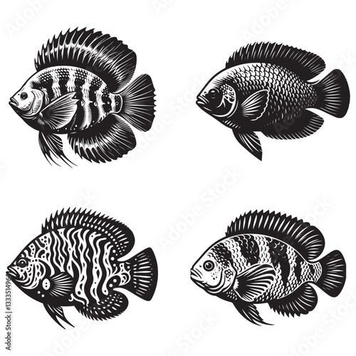 Tilapia fish vector illustration