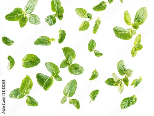 Floating Fresh Green Mint Leaves on White Background