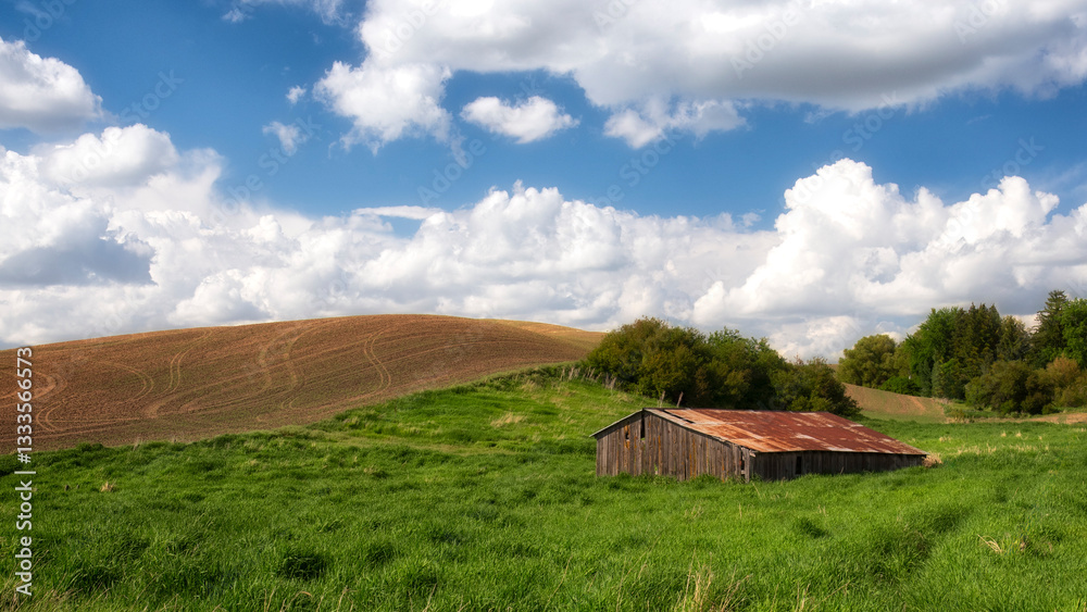 A charming rustic barn stands alone amidst rolling green hills under a bright sky filled with fluffy white clouds, evoking a sense of peace and rural beauty. A charming rustic barn stands alone amidst rolling green hills under a bright sky filled with fluffy white clouds, evoking a sense of peace and rural beauty.