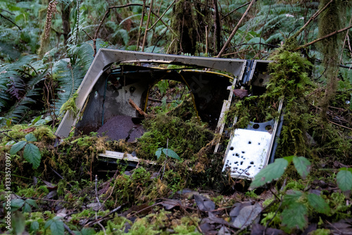 This intriguing image reveals an old, abandoned television set overgrown with moss, illustrating the poignant interaction between technology and the natural world.