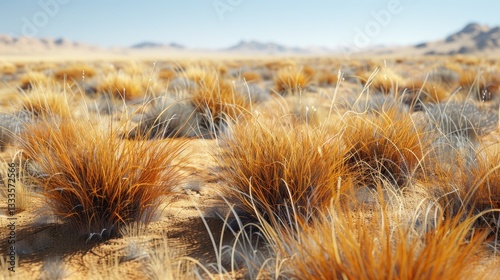 A vast, arid landscape dotted with dry, golden grasses.  Sun-drenched,  desert scrubland stretches to distant mountains.