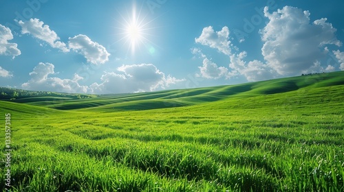 Lush green field with rolling hills under a bright blue sky.