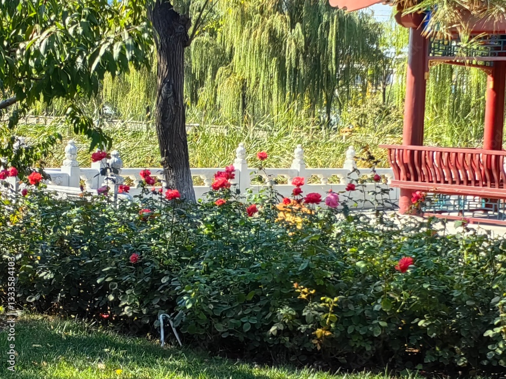 Obraz premium garden with flowers