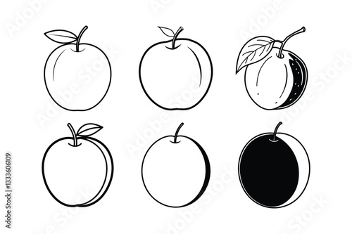 Davidson’s Plum – Davidsonia spp. line art and silhouette vector illustration