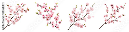 Wallpaper Mural Vibrant and delicate pink spring blossoms on lush tree branches creating a serene and romantic floral display Torontodigital.ca