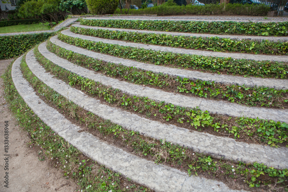 Ivy covered concrete steps